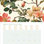 Kalenderblatt für Juni. Tage in mehreren Sprachen. Illustration von Rosenblüten in Rot und Weiß mit grünen Blättern.