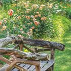 Text: Dumont, 5. Ein Holzsitz in einem üppigen Garten mit Rosen und grünen Bäumen im Hintergrund.
