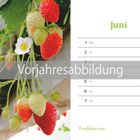 "Vorjahresabbildung", Juni-Kalender mit Erdbeeren. Montag bis Sonntag, Tag der Umwelt am 5. Juni.