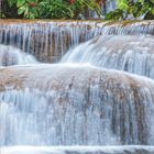 Turtle River, Jamaica. Üppiger Regenwald mit roten Blumen und kleinem Wasserfall. Kalender mit Monat Juni.