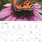 Kalenderseite für Mai 2027 mit Wochentagen in acht Sprachen. Oben ist ein Schmetterling auf einer Blume.