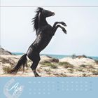 „Apr“ steht in geschwungener Schrift. Kalenderwochen im April; ein aufsteigendes schwarzes Pferd am Strand.