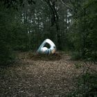 Auf einer Waldlichtung liegt ein halb vergrabenes, abgerundetes, metallisches Objekt. Es wirkt futuristisch und geheimnisvoll.