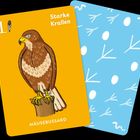Links Text: "1", "Starke Krallen", "MÄUSEBUSSARD". Bild eines Mäusebussards auf orangem Hintergrund. Daneben blaue Karte.
