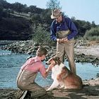 Zwei Personen und ein Hund am Flussufer. Der Junge kniet, der Mann steht mit Hut. Bäume und Wiesen im Hintergrund.