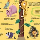 Tiere geben lustige Bezeichnungen für ihre Hinterlassenschaften. Bunte Illustrationen von jedem Tier begleiten die Texte.