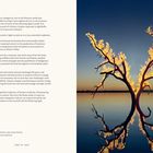 Texte über Feuer und dessen Bedeutung. Rechts ist ein brennender, karger Baum, der sich im ruhigen Wasser spiegelt.