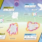 Links oben "BEEDRILL", rechts oben "PIDGEOT". Unten "MEGA BEEDRILL", "MEGA PIDGEOT". Schema der Entwicklungsstufen.
