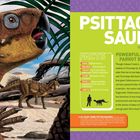 Text: "PSITTACOSAURUS", "FACTS", "POWERFUL PARROT BEAK". Illustration eines Dinosauriers mit papageienartigem Schnabel in Wüstenlandschaft.