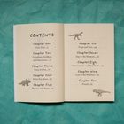"Contents" mit 10 Kapiteln, darunter "Dino-Day" S.5 und "Found" S.91. Dinosaurier-Illustrationen schmücken die Seiten.