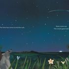 Texte: "The time has come to end the rush," und "Stars come out, The crowd goes hush." Illustration von Waschbären im Gras unter Sternenhimmel.