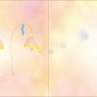 Text: "... but then it didn't?" 

Illustration: Niedliches, flauschiges Wesen schwebt vor pastellfarbenem Hintergrund, daneben liegend.