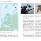 Linker Text: "North American Landbirds in the Western Palearctic"
Rechts oben: "Some definitions" 

Unten links eine Karte, rechts Bilder von zwei Vögeln.