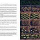 „Three-strip trial in February 2024“ links. Rechts Beete mit jungen Pflanzen in Reihen, geordnet und gepflegt.