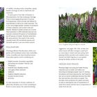 Links: „THE SUSTAINABLE GARDENER“. Bilder von Pfauenauge, Apfelblüte, Silberblatt. Rechts: „CREATING A WILDLIFE-FRIENDLY GARDEN“. Fingerhut, Efeu, Lupinen.