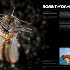 Text oben: "BOBBIT WORM. The ocean’s fastest jump scare." Ein bunter, langer Wurm mit stacheligem Kopf ragt aus dunklem Hintergrund.