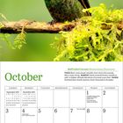 Oktoberkalender mit einem Bild eines grün-schimmernden Kolibris auf einem Ast, umgeben von gelbem Laub.