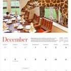 Dezember-Kalender mit Giraffen am Esstisch. Helle Fenster im Hintergrund, gedeckter Tisch mit Geschirr.