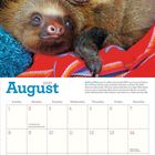 Kalenderseite: August 2027. Zwei Faultiere kuscheln auf einer bunten Decke. Feiertage markiert.