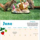Juni-Kalender mit Eichhörnchen bei Picknick, blauer Stuhl, roter Ball, bunte Decke und Speisen.