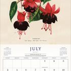 Kalenderblatt für Juli 2027, oben Illustration von Fuchsienblüten und Blättern. Feiertage: Kanada- und Unabhängigkeitstag.