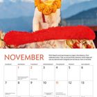 Text: „November. With Nepal’s stunning Annapurna range...“ Eine Katze mit rot-gelben Kranz, schneebedeckte Berge im Hintergrund.