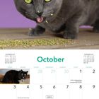 Text: Oktober und Kalendertage. Dunkle Katze mit gelben Augen, isst. Lila Hintergrund. Kalenderlayout mit Feiertagen.