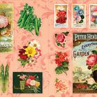 Texte: "Maule's Seed Catalogue 1894", "Peter Henderson & Co's Everything for the Garden 1887". Illustrationen von Blumen und Gemüse.