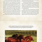 "WILD AND FREE" steht oben. Unten eine Illustration von frei galoppierenden Pferden auf einer Wiese.