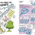 IT'S ALL ABOUT THE GENES! Eine DNA-Struktur, ein Comic mit sprechenden Zellen erklärt Evolution und DNA-Vererbung.