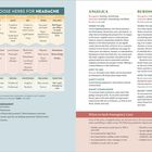 "HOW TO CHOOSE HERBS FOR HEADACHE." Tabelle mit Kategorien: Temperatur, Feuchtigkeit, Tonizität. Details zu Angelica und Burdock.