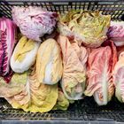 Verschiedene Sorten Radicchio und Chicorée in einer schwarzen Plastikkiste.