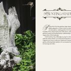 "Haunting Statues" in verschnörkeltem Schriftzug. Text beschreibt den Effekt und die Pflege von Gartenskulpturen. Links Statue mit Flügeln.
