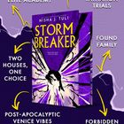 Texte: "Elite Academy", "Deadly Initiation Trials", "Two Houses, One Choice", "Found Family", "Post-Apocalyptic Venice Vibes", "Forbidden Romance". Buchcover in Lila mit einer springenden Silhouette und dem Titel "Storm Breaker".