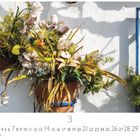 "Blumen im Patio", Kalenderblatt für März. Ein Topf mit bunten Blumen hängt an einer sonnigen weißen Wand.