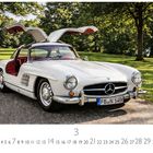 Text „Mercedes 300 SL“. Weißer Oldtimer mit Flügeltüren, parkend auf einem Weg, umgeben von grünen Bäumen und Rasen.