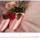 Kalenderblatt mit Zahlenreihe 1-31 unten. Rosa Balletschuhe mit roter Rose auf Tüllstoff.
