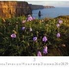 Text: "Irland, Cliffs of Moher", "3"
Grüne Wiese mit violetten Glockenblumen, dahinter die Klippen und Meer.