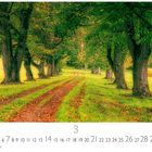 Kalender mit Monatsübersicht. Ein Weg, gesäumt von Bäumen, führt durch eine herbstliche Landschaft.