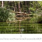 Unter den Zahlen 1 bis 31 steht “CASARES EDITION”. Dargestellt ist ein ruhiger Waldsee mit Bäumen und Pflanzen.