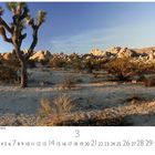 "Joshua Tree bei Sonnenuntergang" steht unten. Ein Joshua-Baum in wüstenartiger Landschaft mit Felsen im Hintergrund.