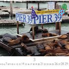 „PIER 39“ vor einem Holzsteg mit Seelöwen, Dekorationen für den 21. Jahrestag, im Hintergrund Wasser und weitere Stege.
