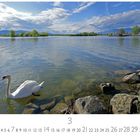 Frühlingstag am Bodensee. März. Ein Schwan schwimmt nahe eines Felsufers unter einem teils bewölkten Himmel.