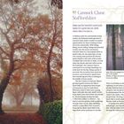 "40 Cannock Chase, Staffordshire" steht oben. Links Bäume im Herbstnebel. Rechts Waldweg bei Nacht, neblig und mystisch.