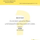 Text: "das Schloss". "KW 53 | Steinbock (Capricornio) 22.12. - 20.1." "WAS IST DAS?" "Es ist klein wie eine Maus und bewacht das Haus wie ein Löwe." Antwort: "la llave, der Schlüssel". Gelber Hintergrund und stilisierte Lupe.