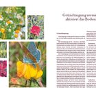 Gründüngung vermehrt und aktiviert das Bodenleben. Bilder von Blumen und ein blauer Schmetterling auf gelber Blüte.