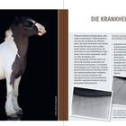 Texte: "DIE KRANKHEIT", "VERSCHIEDENE AUSPRÄGUNGEN". Ein Pferd mit dunklen und weißen Fellflecken auf schwarzem Hintergrund.