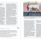 Voraussetzungen und Rahmenbedingungen für Trainingstherapie. Linke Seite: Text zu Trainingstherapie, rechte Seite: Frau führt Pferd.