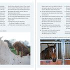 Seite 10: Ein weißes Pferd mit einem Tier auf dem Rücken. Seite 11: Zwei Pferde in Boxen. Texte über Pferdeverhalten.