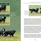 Schwerpunkt links zum Hund hin, rechts vom Hund weg, rechts will den Kontakt verlassen. Links neutral, rechts geht der Schwerpunkt des Hundes deutlich nach außen weg.